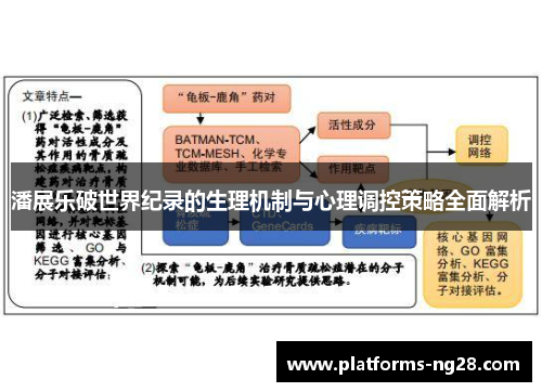 潘展乐破世界纪录的生理机制与心理调控策略全面解析