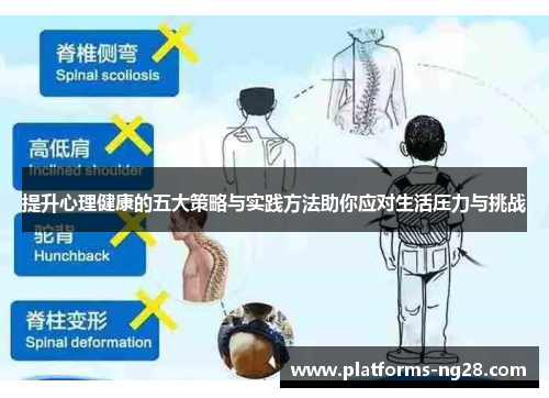 提升心理健康的五大策略与实践方法助你应对生活压力与挑战