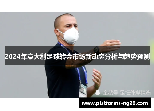 2024年意大利足球转会市场新动态分析与趋势预测