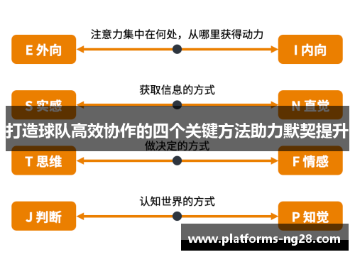 打造球队高效协作的四个关键方法助力默契提升