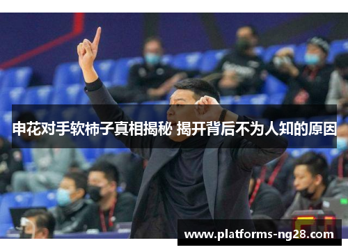 申花对手软柿子真相揭秘 揭开背后不为人知的原因