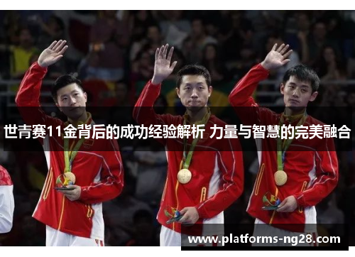 世青赛11金背后的成功经验解析 力量与智慧的完美融合