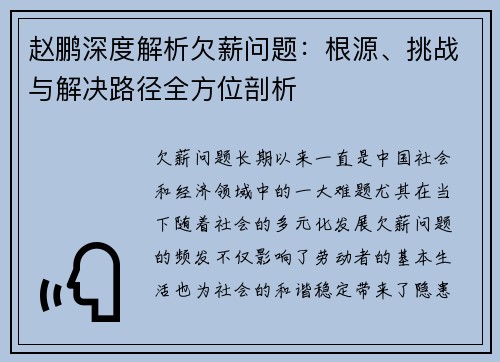 赵鹏深度解析欠薪问题：根源、挑战与解决路径全方位剖析
