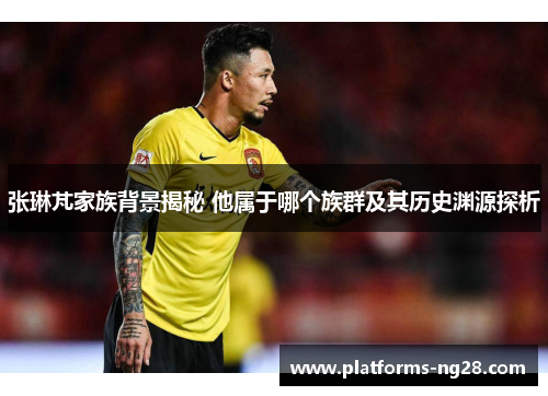 张琳芃家族背景揭秘 他属于哪个族群及其历史渊源探析