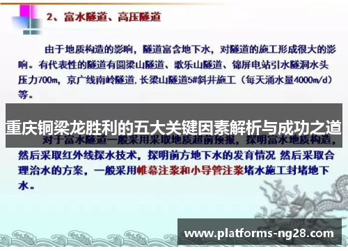 重庆铜梁龙胜利的五大关键因素解析与成功之道