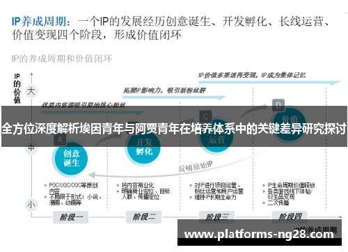全方位深度解析埃因青年与阿贾青年在培养体系中的关键差异研究探讨
