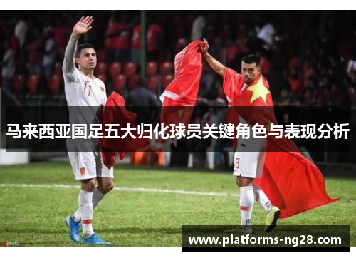 马来西亚国足五大归化球员关键角色与表现分析