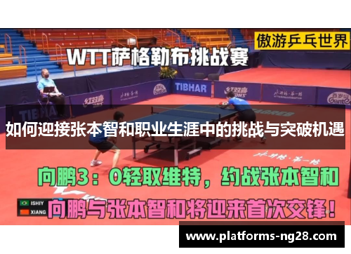 如何迎接张本智和职业生涯中的挑战与突破机遇
