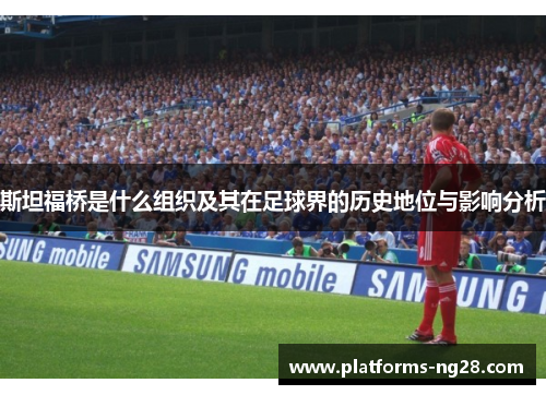 斯坦福桥是什么组织及其在足球界的历史地位与影响分析