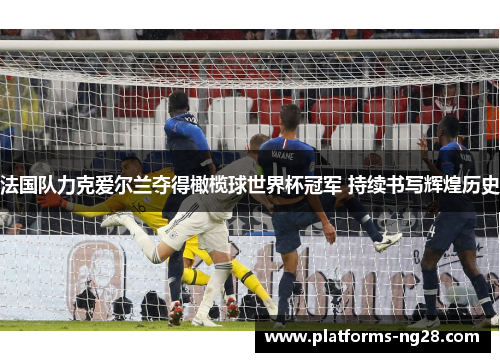 法国队力克爱尔兰夺得橄榄球世界杯冠军 持续书写辉煌历史