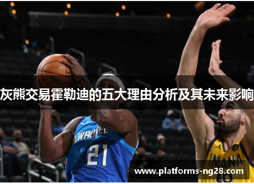 灰熊交易霍勒迪的五大理由分析及其未来影响