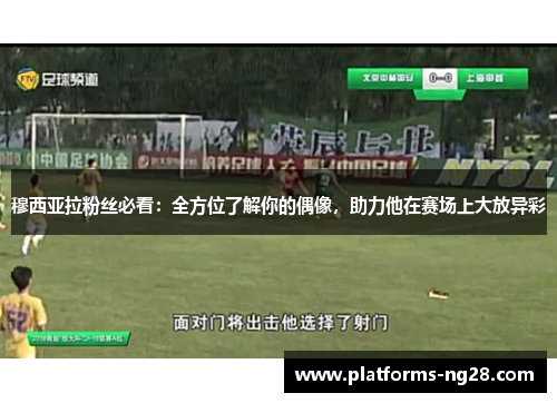 穆西亚拉粉丝必看：全方位了解你的偶像，助力他在赛场上大放异彩