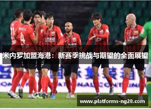 米内罗加盟海港：新赛季挑战与期望的全面展望